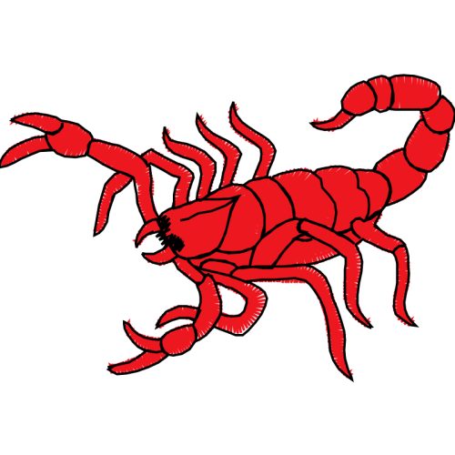 Insects Animals Insects Animals