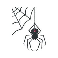 Insects Animals Insects Animals