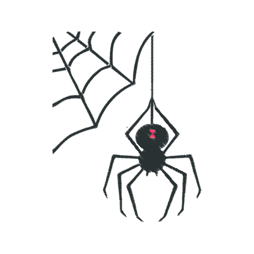 Insects Animals Insects Animals