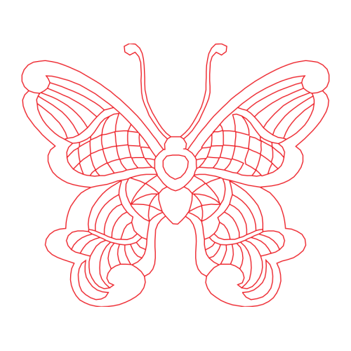 Insects Animals Insects Animals