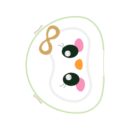 Insects Animals Insects Animals