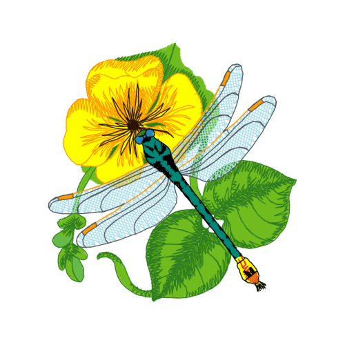 Laceleaf Animals Laceleaf Animals