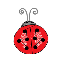 Ladybugs Animals Ladybugs Animals