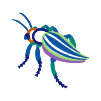 Leaf Beetles Animals Leaf Beetles Animals