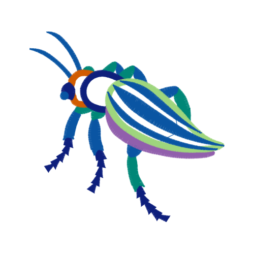 Leaf Beetles Animals Leaf Beetles Animals