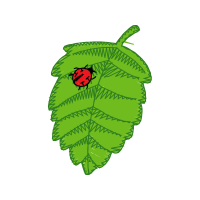 Leaf Beetles Animals Leaf Beetles Animals