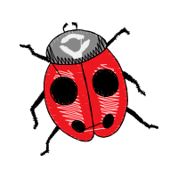 Leaf Beetles Animals Leaf Beetles Animals