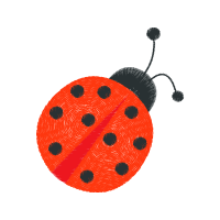 Leaf Beetles Animals Leaf Beetles Animals