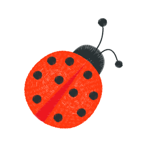 Leaf Beetles Animals Leaf Beetles Animals