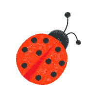 Leaf Beetles Animals Leaf Beetles Animals