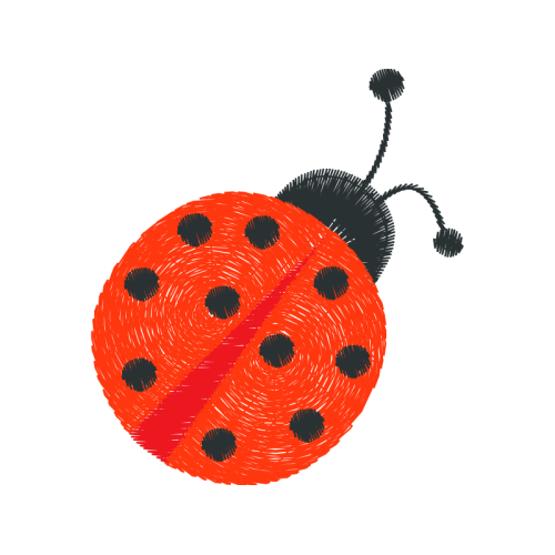 Leaf Beetles Animals Leaf Beetles Animals