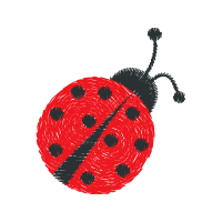 Leaf Beetles Animals Leaf Beetles Animals