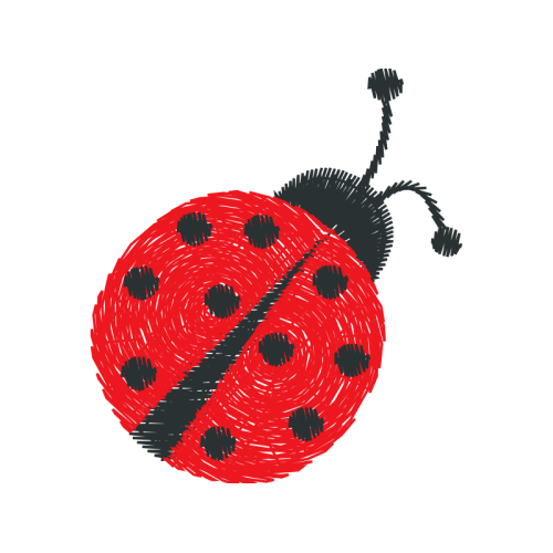 Leaf Beetles Animals Leaf Beetles Animals