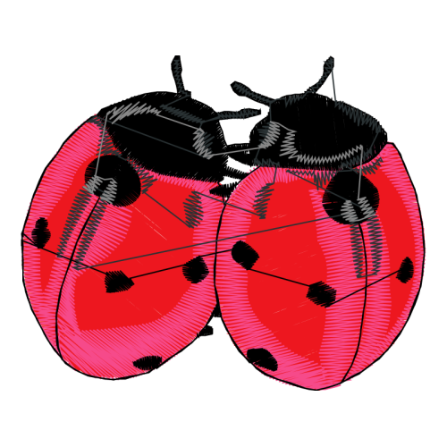 Leaf Beetles Animals Leaf Beetles Animals