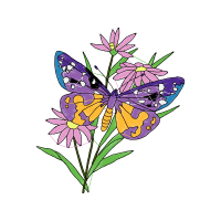 Lepidoptera Animals Lepidoptera Animals