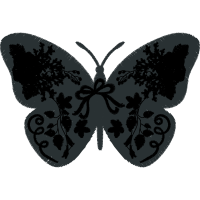 Lepidoptera Animals Lepidoptera Animals