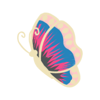 Lepidoptera Animals Lepidoptera Animals