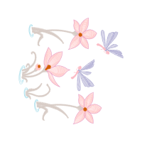 Lily Animals