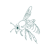 Line Art Animals Line Art Animals