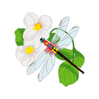 Line Art Animals Line Art Animals