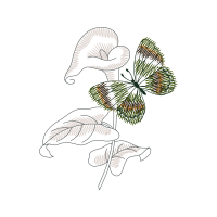 Line Art Animals Line Art Animals