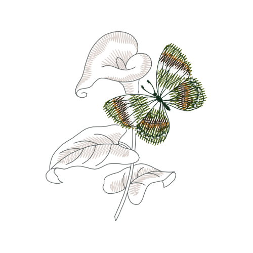 Line Art Animals Line Art Animals