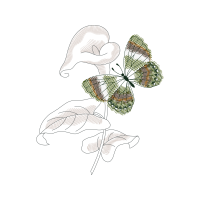 Line Art Animals Line Art Animals