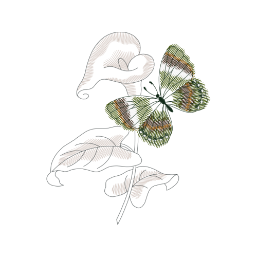 Line Art Animals Line Art Animals