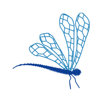 Line Art Animals Line Art Animals