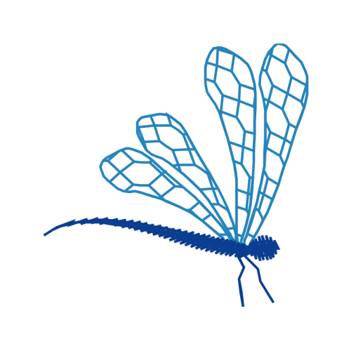 Line Art Animals Line Art Animals