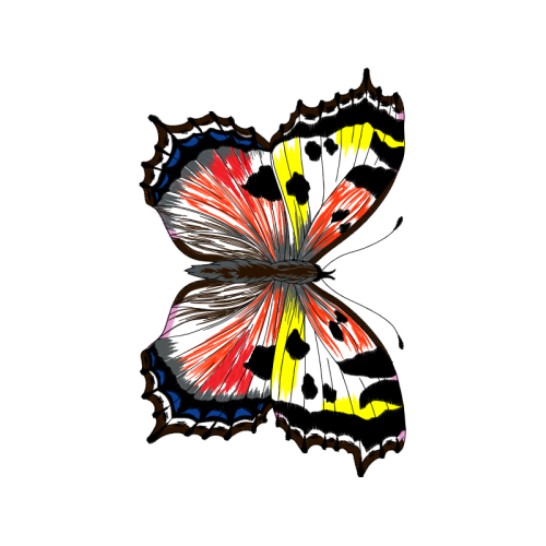 M 02Csf Animals M 02Csf Animals