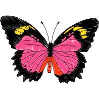 Machine Animals Machine Animals