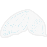 Marine Invertebrates Animals