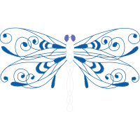 Metalmark Butterflies Animals Metalmark Butterflies Animals