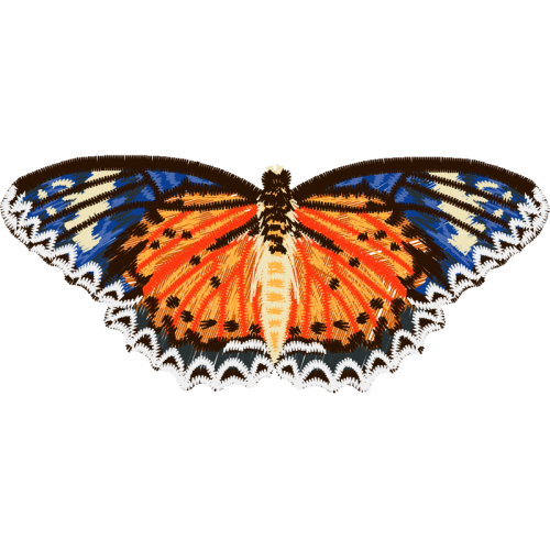 Metalmark Butterflies Animals Metalmark Butterflies Animals