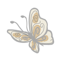 Metalmark Butterflies Animals Metalmark Butterflies Animals