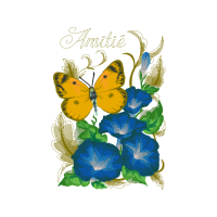 Metalmark Butterflies Animals Metalmark Butterflies Animals