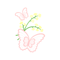 Metalmark Butterflies Animals