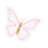 Metalmark Butterflies Animals