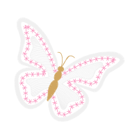 Metalmark Butterflies Animals