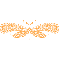 Metalmark Butterflies Animals