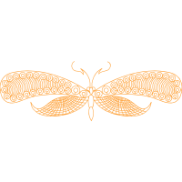 Metalmark Butterflies Animals