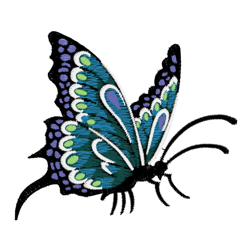 Metalmark Butterflies Animals Metalmark Butterflies Animals