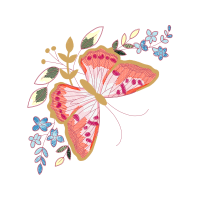 Metalmark Butterflies Animals Metalmark Butterflies Animals