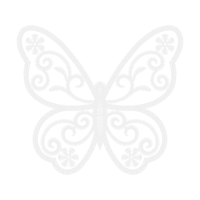 Metalmark Butterflies Animals