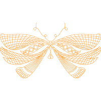 Metalmark Butterflies Animals