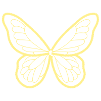 Metalmark Butterflies Animals