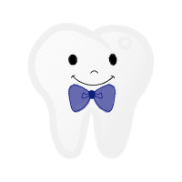 Metalmark Butterflies Animals