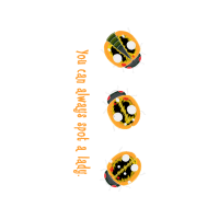 Meter Animals Meter Animals