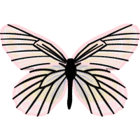 Monarch Butterfly Animals Monarch Butterfly Animals